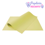 Papel Cartolina Escolar 48x66 Cm Colorida - Unidade - Imagem 2
