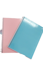 Caderno 80 Folhas Capa Dura Animativa 1 Matéria